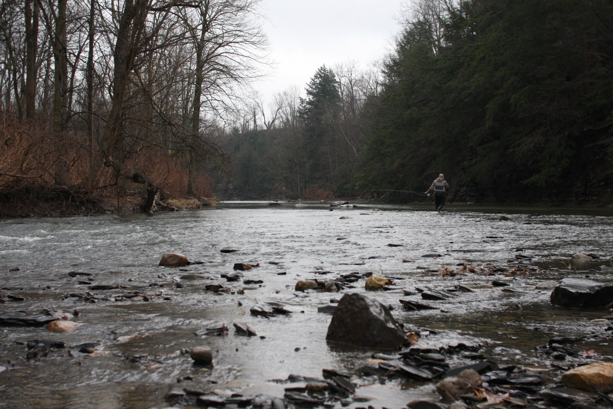 Corona Conservation: How to keep conservation in mind during a&nbsp;crisis.